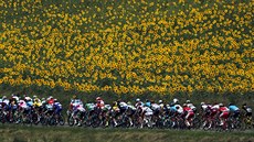 Momentka z 16. etapy Tour de France