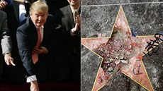 Donald Trump a jeho pokozená hvzda na hollywoodském chodníku slávy (Los...