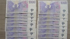 Při rozplétání složitého případu Kobra podnikla několik domovních prohlídek, do... Při rozplétání složitého případu Kobra podnikla několik domovních prohlídek, do...