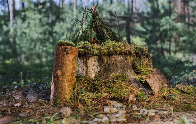 Holií hrad, projekt Co je to domov?.