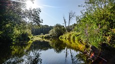 Rezervace Ramena řeky Moravy představuje nefalšovanou divočinu. Rezervace Ramena řeky Moravy představuje nefalšovanou divočinu.