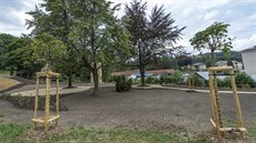 Upraveným parkům v Tanvaldu dominují listnaté stromy, obnova přišla na 2,65... Upraveným parkům v Tanvaldu dominují listnaté stromy, obnova přišla na 2,65...