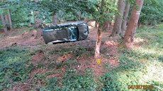 idi neudrel auto na lesní cest, pevrátil se s ním mezi stromy (4. srpna...