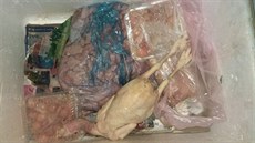 Dvě zásilky zapáchající masných polotovarů objevili inspektoři veterinární... Dvě zásilky zapáchající masných polotovarů objevili inspektoři veterinární...