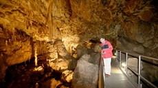 Punkevní jeskyn zdobí rozsáhlá krápníková výzdoba.