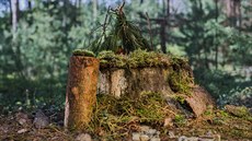 Holčičí hrad, projekt Co je to domov?. Holčičí hrad, projekt Co je to domov?.