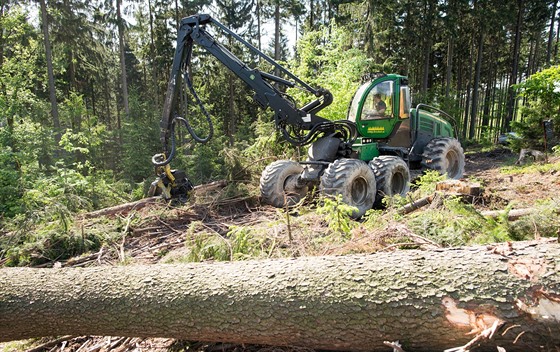 V rámci republiky má certifikaci FSC kolem 290 majitel les, celosvtov jich...