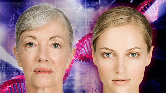 Klíč k procesu stárnutí tkví v DNA. Klíč k procesu stárnutí tkví v DNA.