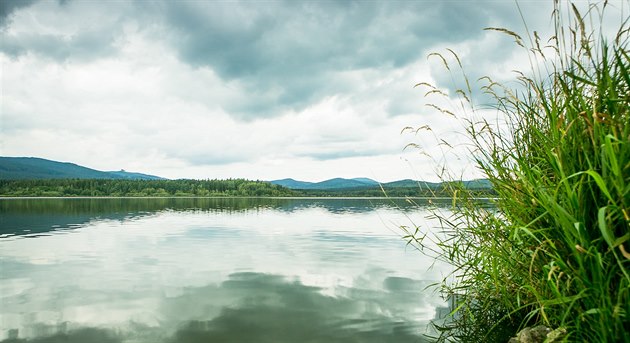 Rybník Olšina se nachází v bývalém vojenském prostoru Boletice poblíž Horní... Rybník Olšina se nachází v bývalém vojenském prostoru Boletice poblíž Horní...