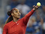 Americk tenistka Serena Williamsov podv v duelu proti Pete Kvitov na...