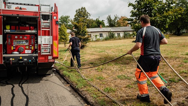 Dobrovoln hasii pomhaj pracovnkm technickch slueb v Hradci Krlov zalvat stromy ve mst.