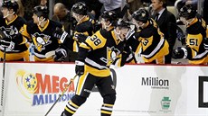 Zach Sill v dresu Pittsburghu se raduje z gólu. Zach Sill v dresu Pittsburghu se raduje z gólu.