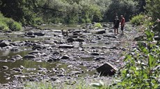 Pokles hladiny Sázavy je hodně patrný zejména na Stvořidlech. Místy dosahuje... Pokles hladiny Sázavy je hodně patrný zejména na Stvořidlech. Místy dosahuje...