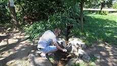 Zatímco v minulosti prýštila ze země Moravská Dyje poměrně silným proudem, nyní... Zatímco v minulosti prýštila ze země Moravská Dyje poměrně silným proudem, nyní...