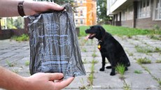 Koš i se sáčky na psí exkrementy lidé v Liberci nenajdou. Město je do ulic... Koš i se sáčky na psí exkrementy lidé v Liberci nenajdou. Město je do ulic...