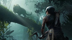Shadow of the Tomb Raider Shadow of the Tomb Raider