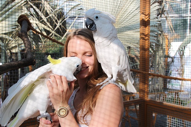 Aneta Vychytilová s papouky.