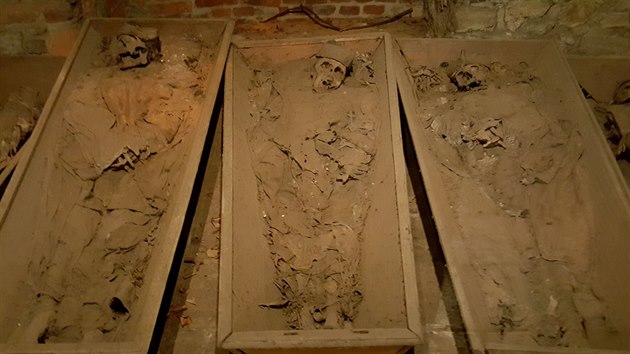 V podzem frdecko-msteck baziliky jsou i ostatky kn.