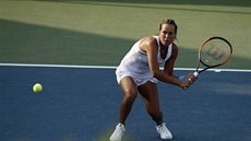 Barbora Strýcová íhá na míek v utkání prvního kola US Open.