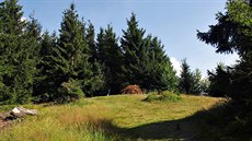 Vrchol Skalky (964 m)