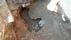 Hasiči na Přerovsku vyprošťovali psa, který uvázl hluboko v odtokové trubce pod... Hasiči na Přerovsku vyprošťovali psa, který uvázl hluboko v odtokové trubce pod...