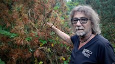 Vedoucí Arboreta Sofronka v Plzni Jan Kaňák ukazuje borovici, která uschla... Vedoucí Arboreta Sofronka v Plzni Jan Kaňák ukazuje borovici, která uschla...