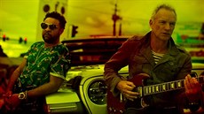 Shaggy a Sting Shaggy a Sting