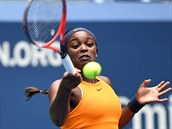 OBHJKYN. Americk tenistka Sloane Stephensov je na US Open obhjkyn titulu,...