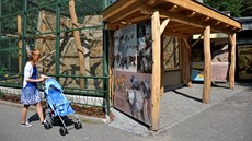 Skupinka paviánů pláštíkových se po letech dočkala opraveného pavilonu. Obnovou... Skupinka paviánů pláštíkových se po letech dočkala opraveného pavilonu. Obnovou...