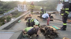 Hasiči likvidují požár střechy rodinného domu v Želechovicích nad Dřevnicí. Hasiči likvidují požár střechy rodinného domu v Želechovicích nad Dřevnicí.