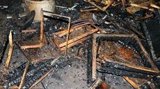 Při požáru u Boru na Tachovsku se zničilo devět včelstev. Při požáru u Boru na Tachovsku se zničilo devět včelstev.