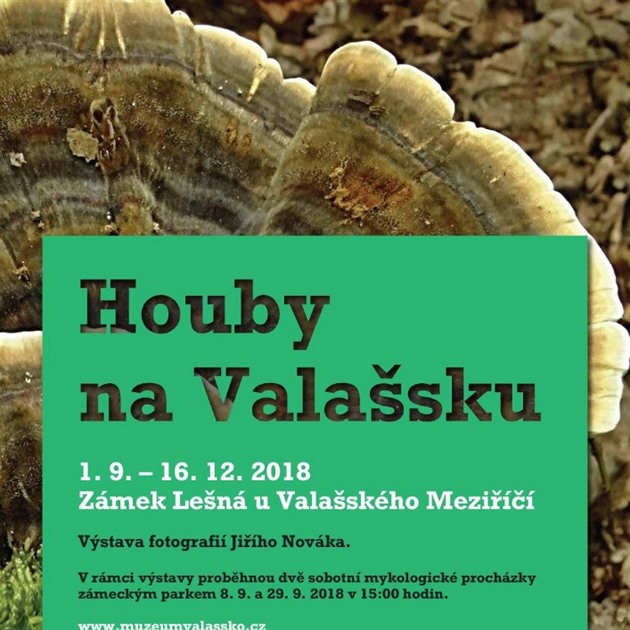 Houby na Valasku