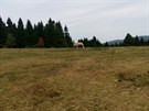 Velbloud na Královce Velbloud na Královce