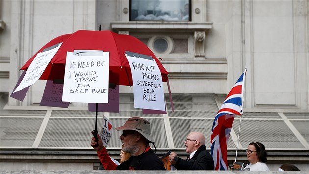 Demonstrace stoupenc brexitu v centru Londna (5. z 2018)