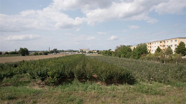 Plocha mezi sdlitm ve zlnsk sti Malenovice a obchodnm centrem, kde by mla stt nov nemocnice. (2018)