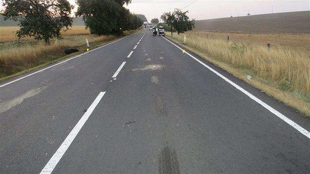 Pi dopravn nehod na Tachovsku se zranil nejen idi osobnho vozidla, ale i bci. Jedno zve kolizi nepeilo.