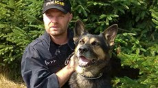 Policejní psovod a služební pes Wigo. Policejní psovod a služební pes Wigo.