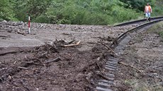 Na železniční trať mezi Ledčí nad Sázavou a Vlastějovicemi se v noci na... Na železniční trať mezi Ledčí nad Sázavou a Vlastějovicemi se v noci na...