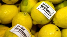 Členové Autonomní skupiny aktivistů proti plastu (ASAPP) polepili v jednom z... Členové Autonomní skupiny aktivistů proti plastu (ASAPP) polepili v jednom z...