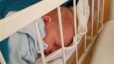 Tisící porod zaznamenala brodská porodnice ve čtvrtek 6. září ve čtvrt na deset... Tisící porod zaznamenala brodská porodnice ve čtvrtek 6. září ve čtvrt na deset...