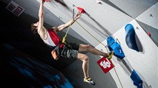 NA ERVENOU.  eský lezec Adam Ondra závodí v Innsbrucku na MS v lezení na...