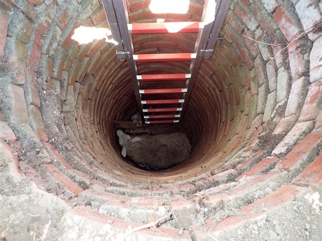 Vytaení ovce z pt metr hluboké studny na Opavsku.