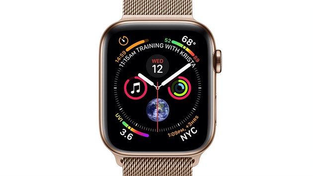 Apple Watch Series 4 s ocelovm pouzdrem