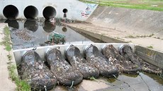 Sbírání odpadků u vyústění dešťové kanalizace Sbírání odpadků u vyústění dešťové kanalizace