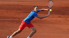 Luká Rosol se natahuje po míi v rozhodující dvouhe baráe Davis Cupu proti...