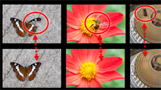 Adobe se pochlubil novými možnostmi filtru content-aware fill (automatické... Adobe se pochlubil novými možnostmi filtru content-aware fill (automatické...
