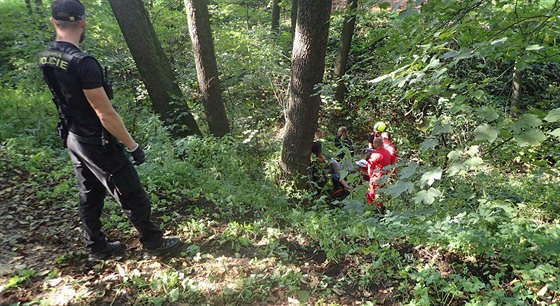 Zásah hasi, záchraná a stráník v lesoparku v Orlové na Karvinsku, kde...
