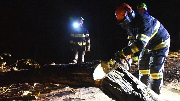 Kvli vichici vyjdli hasii v Karlovarskm kraji hlavn k popadanm stromm. (24. z 2018)