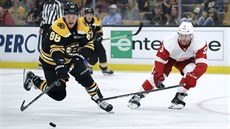 David Pastrňák z Bostonu vyráží do útoku, zastavit ho zkouší Nick Jensen z... David Pastrňák z Bostonu vyráží do útoku, zastavit ho zkouší Nick Jensen z...