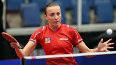 Česká stolní tenistka Aneta Kučerová hraje bekhend na ME v Alicante. Česká stolní tenistka Aneta Kučerová hraje bekhend na ME v Alicante.